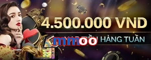 mmoo
